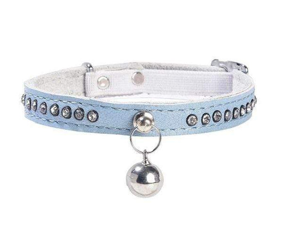 Eclat Cat Collar - Blue - Bobby - PetStore.ae