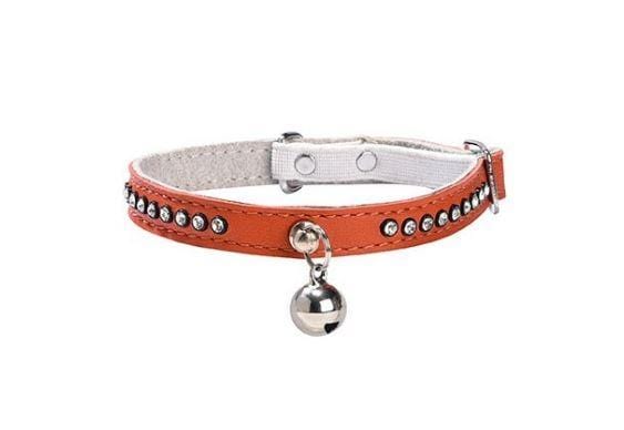 Eclat Cat Collar - Orange - Bobby - PetStore.ae