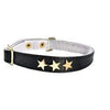 Etoiles Leather Cat Collar - Black - Bobby - PetStore.ae