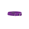Flex Cat Collar - Violet - Bobby - PetStore.ae