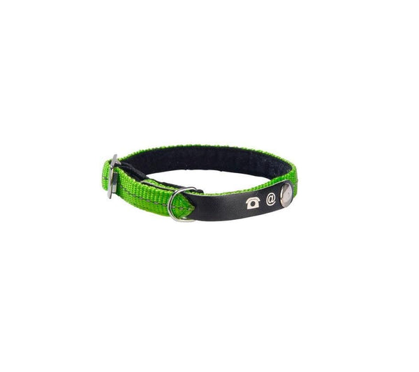 Lost Cat Collar - Green - Bobby - PetStore.ae