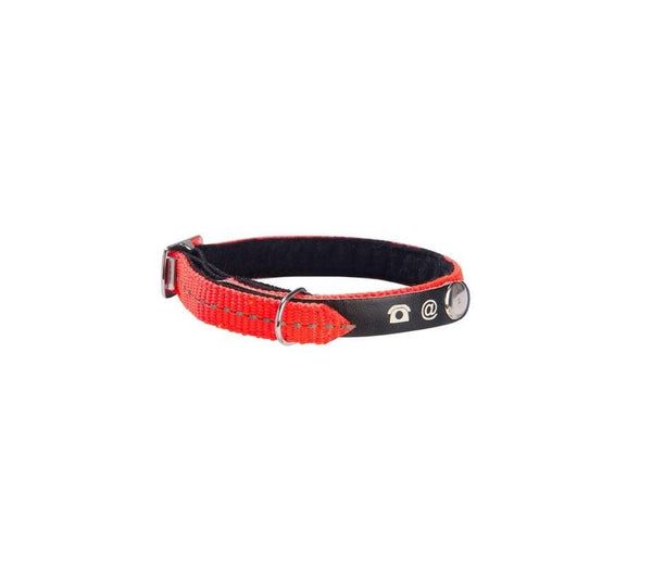 Lost Cat Collar - Orange - Bobby - PetStore.ae