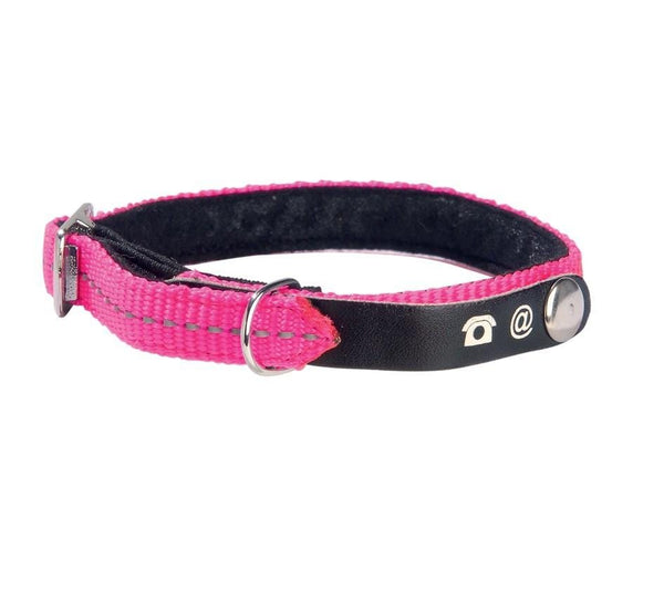 Lost Cat Collar - Rose - Bobby - PetStore.ae