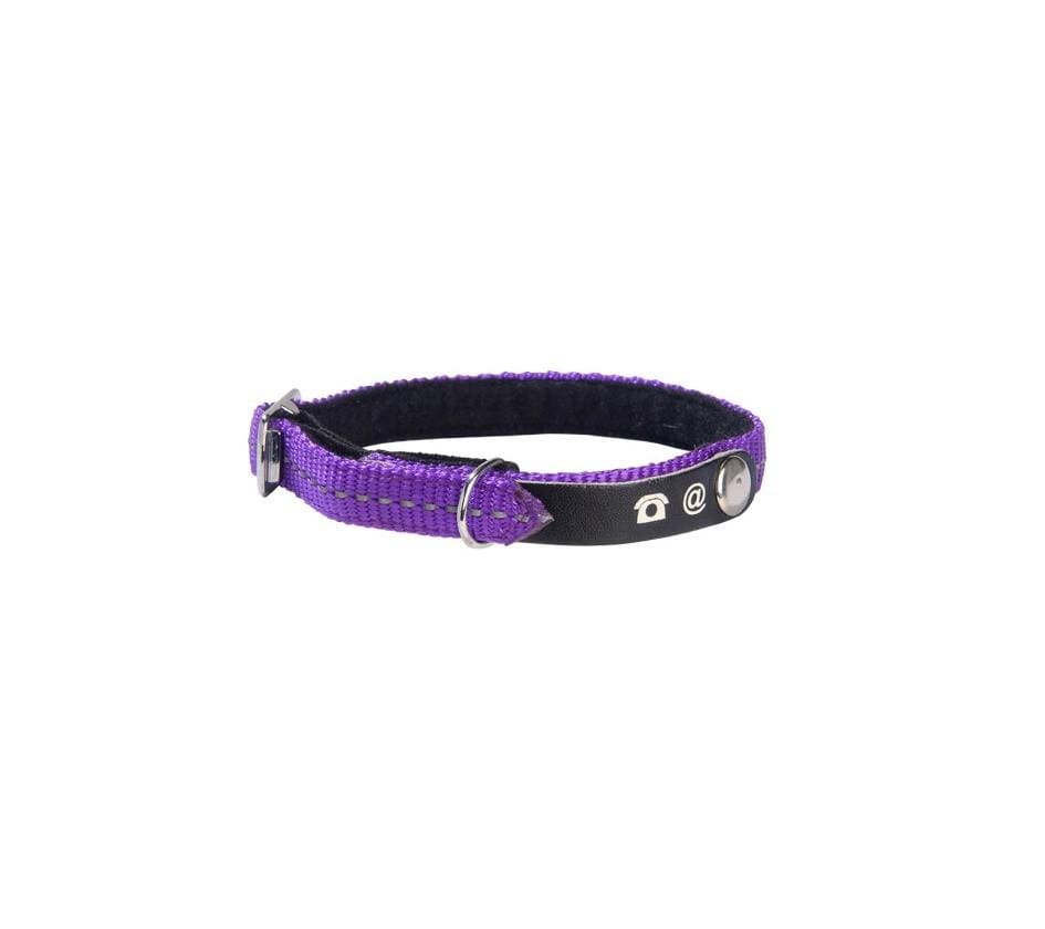 Lost Cat Collar - Violet - Bobby