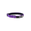 Lost Cat Collar - Violet - Bobby - PetStore.ae