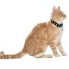 Midnight Cat Collar With Reflective Stars - Black - Bobby - PetStore.ae