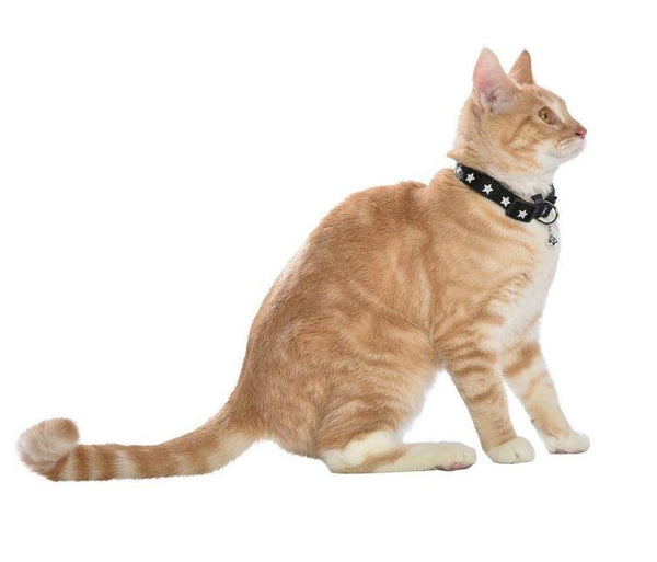 Midnight Cat Collar With Reflective Stars - Black - Bobby - PetStore.ae