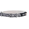 Porte Adresse Party Cat Collar - Silver - Bobby - PetStore.ae
