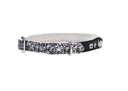 Porte Adresse Party Cat Collar - Silver - Bobby - PetStore.ae