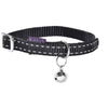 Safe Cat Collar - Black - Bobby - PetStore.ae