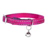 Safe Cat Collar - Fuchsia - Bobby - PetStore.ae