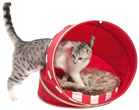 Cat Bed Fall - Bobby - PetStore.ae