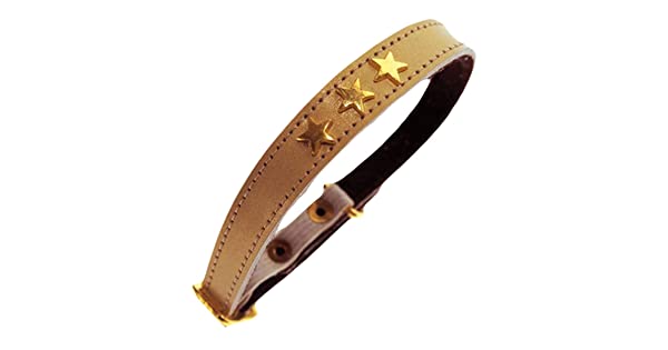 Etoiles Leather Cat Collar - Ocher - Bobby - PetStore.ae
