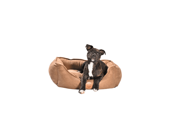 Harley Basket Pet Bed - Bobby - PetStore.ae