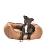 Harley Basket Pet Bed - Bobby - PetStore.ae