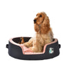 Juicy Basket Pet Bed - Bobby - PetStore.ae