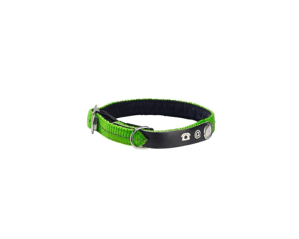 Lost Cat Collar - Green - Bobby