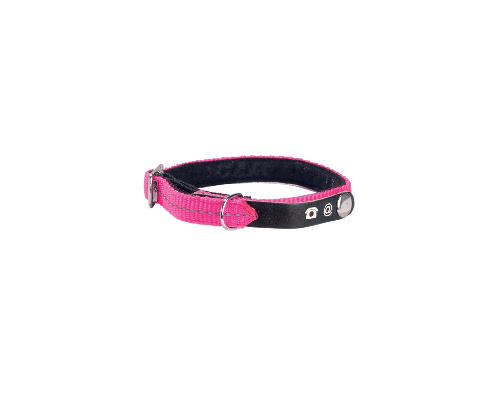 Lost Cat Collar - Rose - Bobby
