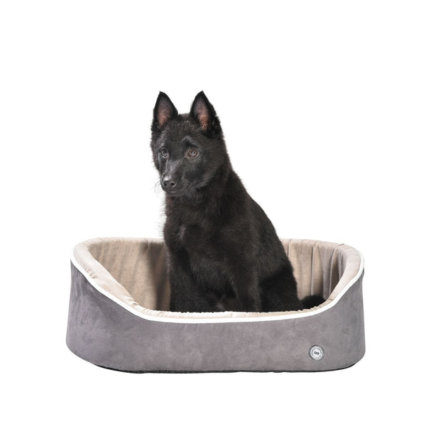 Ollie Basket Pet Bed - Bobby - PetStore.ae