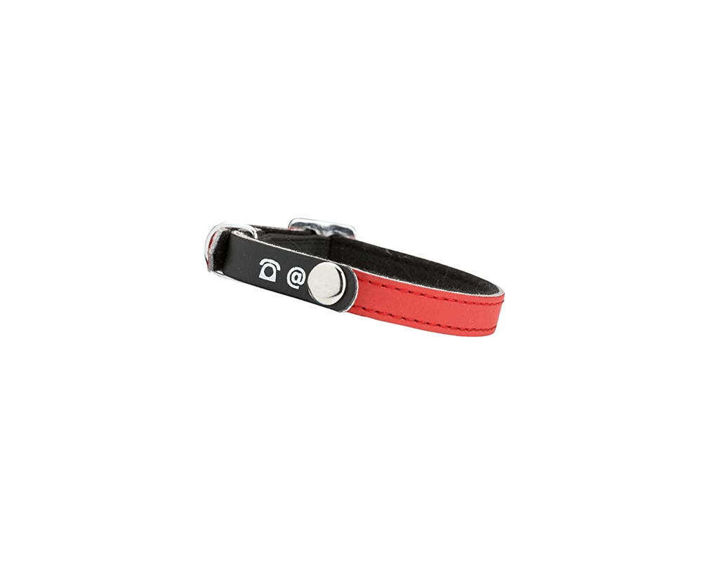 Porte Adresse Writable Cat Collar - Red - Bobby