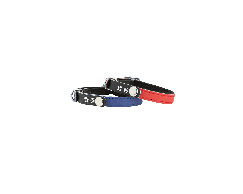 Porte Adresse Writable Collar - Blue - Bobby