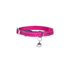 Safe Cat Collar - Fuchsia - Bobby - PetStore.ae