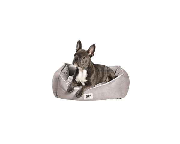Dana Basket Pet Bed - Bobby