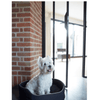 Spooky Basket Pet Bed - Bobby - PetStore.ae