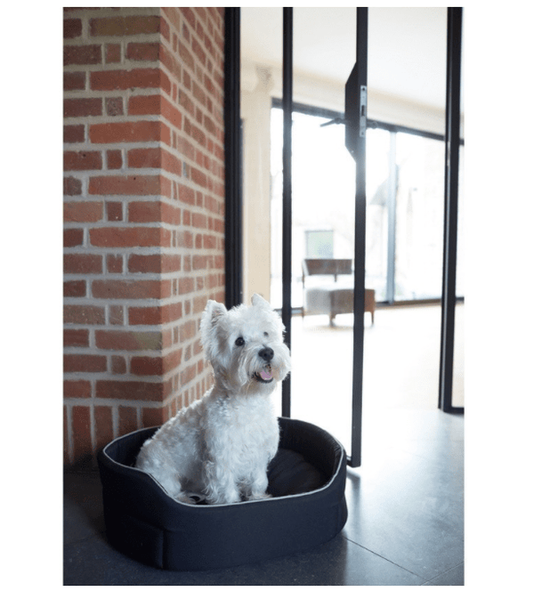 Spooky Basket Pet Bed - Bobby - PetStore.ae