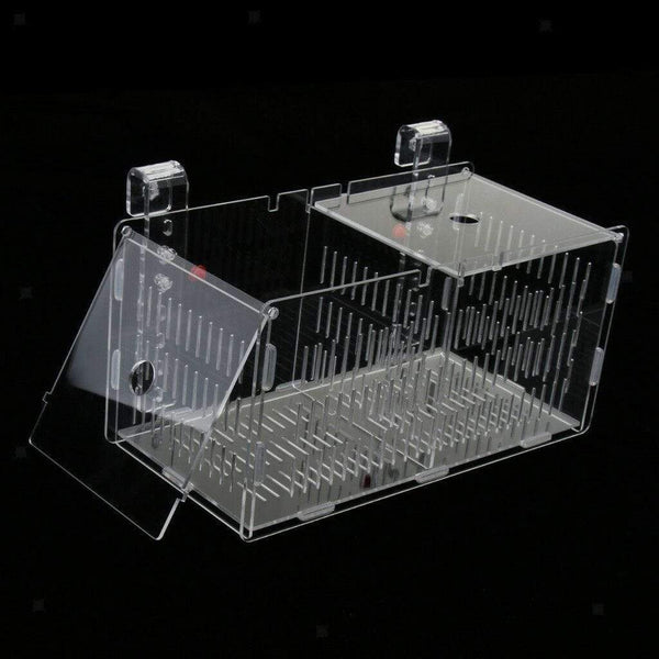 Acrylic Fish Hatchery / Mushroom Coral Isolation Box -BPK - PetStore.ae