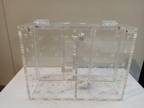Breeding / Isolation Box for Fish or Corals - RF-2S - BPK - PetStore.ae
