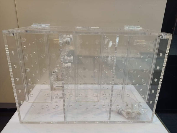 Breeding / Isolation Box for Fish or Corals - RF-3A - BPK - PetStore.ae