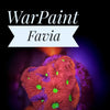 War Paint Favia - PetStore.ae
