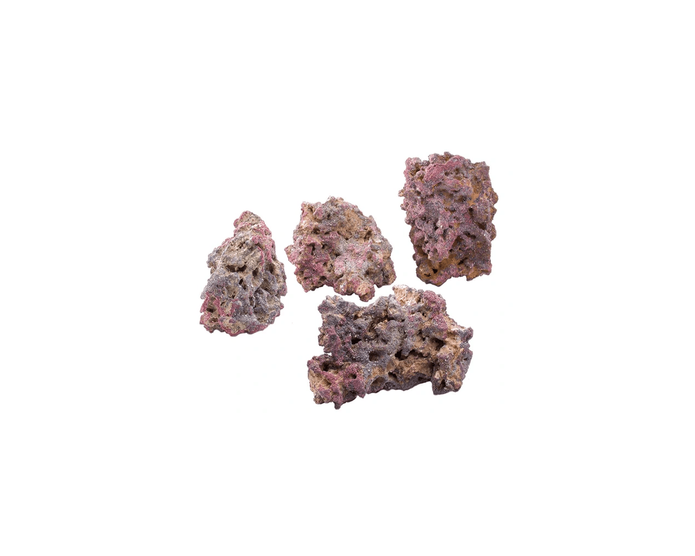 Life Rocks Display - Caribsea - PetStore.ae