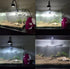 products/coral-box-aquarium-lighting-coral-box-as-80-marine-refugium-led-aquarium-light-37698547417318.jpg