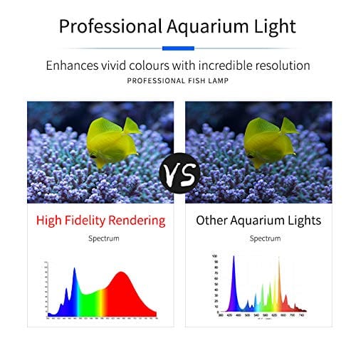Coral Box AS-80 Marine Refugium LED Aquarium Light - PetStore.ae