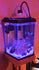 products/coral-box-aquarium-lighting-coral-box-as-80-marine-refugium-led-aquarium-light-37698547712230.jpg