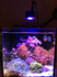 products/coral-box-aquarium-lighting-coral-box-as-80-marine-refugium-led-aquarium-light-37698547974374.jpg