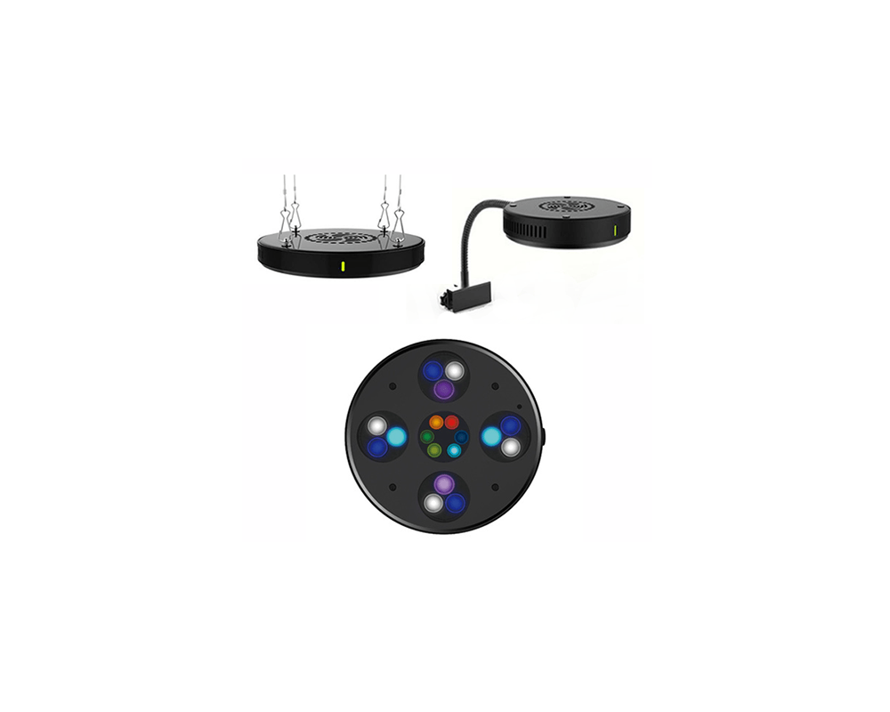Moon LED Plus Lighting - Coral Box