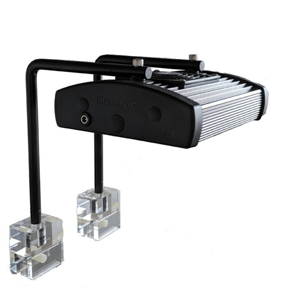 Illumagic Blaze X Nano Arm Holder - Dalua - PetStore.ae