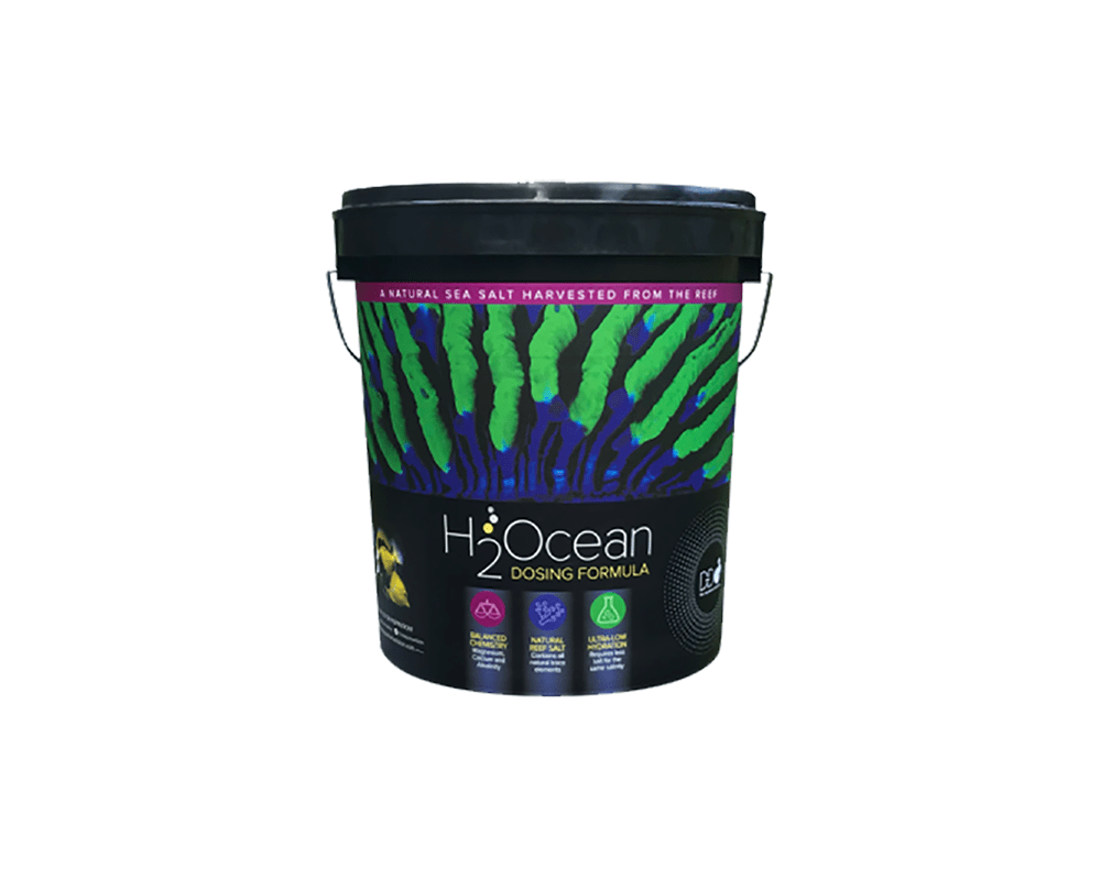 H2Ocean Dosing Formula Reef Salt - D&D