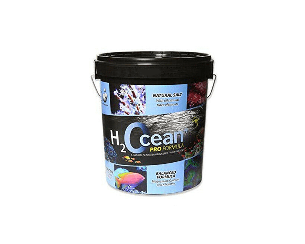 H2Ocean Natural Reef Salt - D&D - PetStore.ae