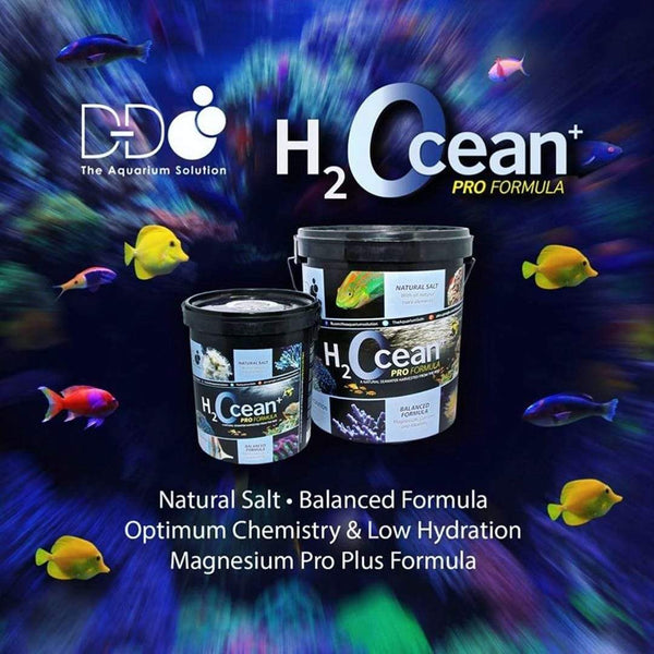 H2Ocean Natural Reef Salt - D&D - PetStore.ae