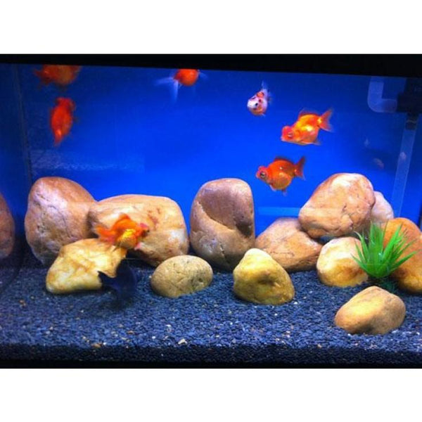 Natural River Stones - Dymax - PetStore.ae