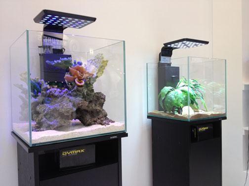 Black Wood Grain Cabinet for 50cm Cube - Dymax