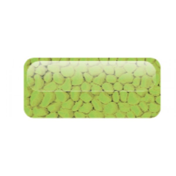 Colour Stones - Green - Dymax - PetStore.ae
