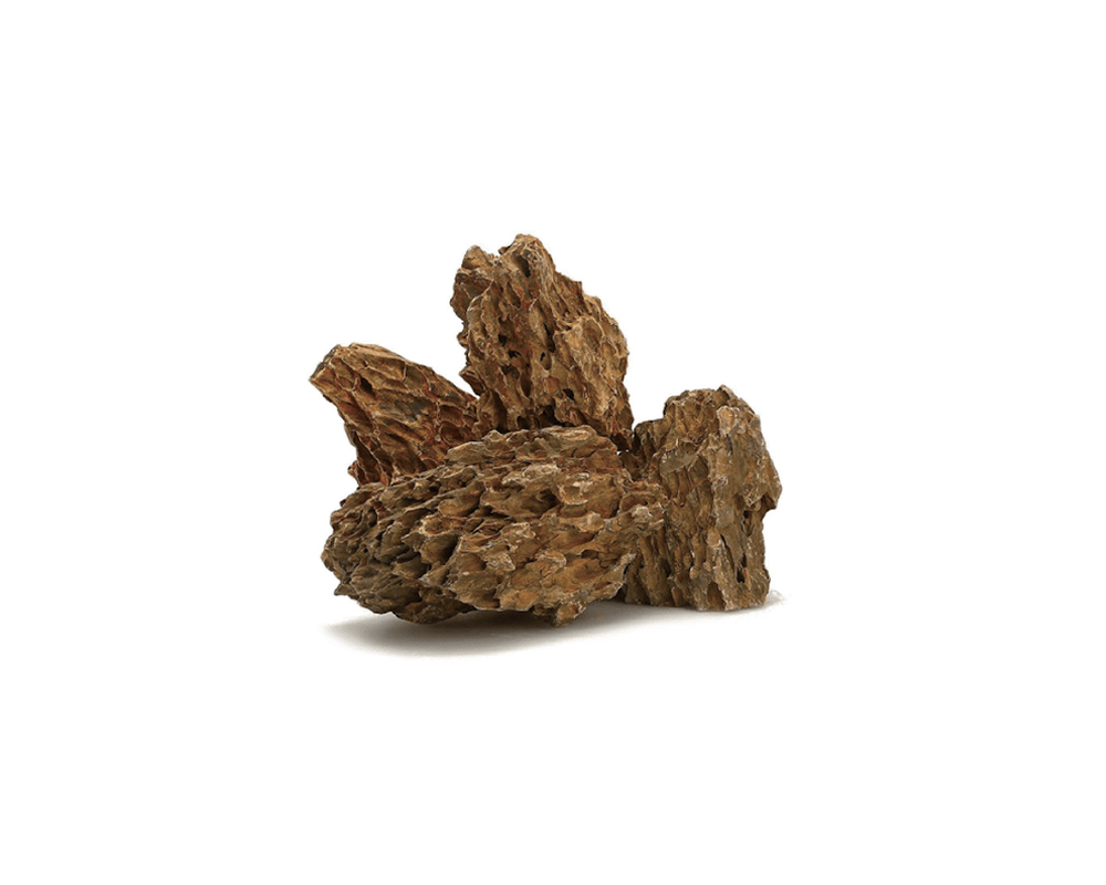 Pine Rock - Dymax