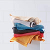 E-Cloth Glass & Polishing Cloth - PetStore.ae