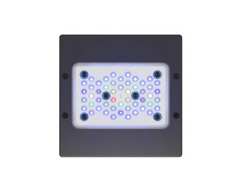 Radion XR15 Blue LED Light Fixture - EcoTech Marine