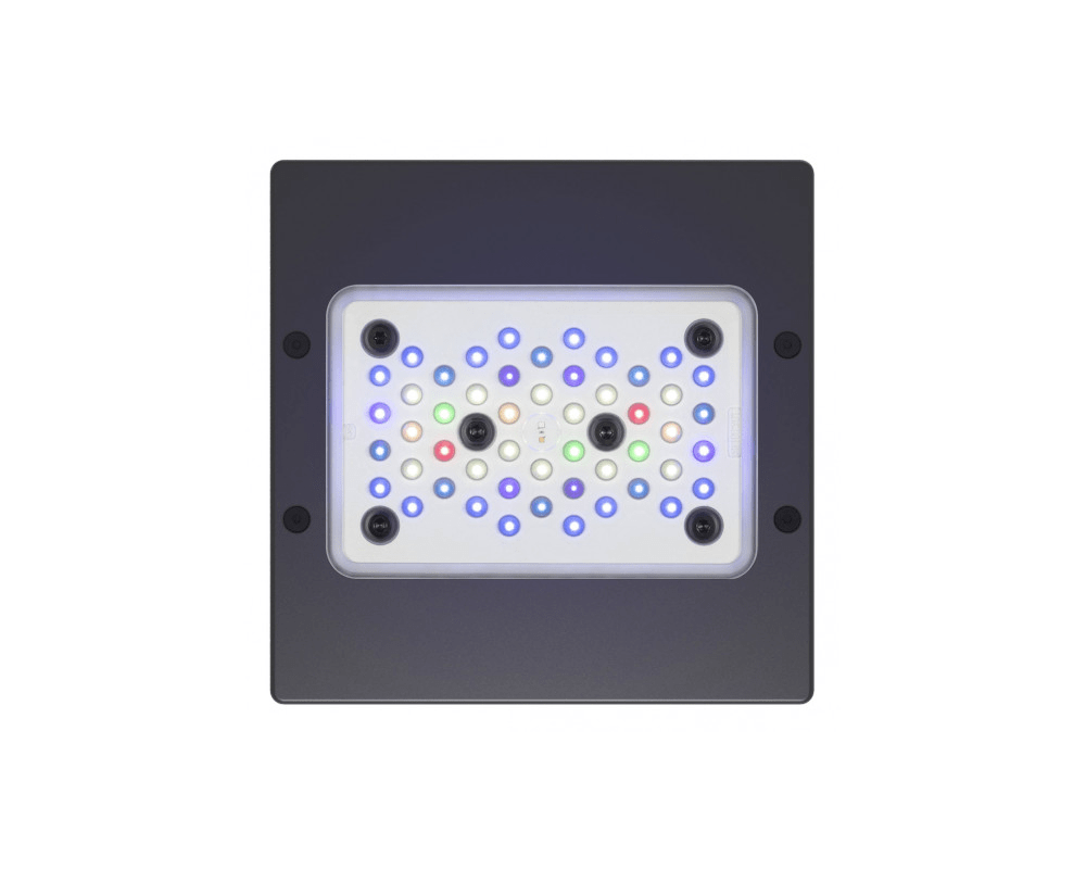 Radion XR15 Pro LED Light Fixture - Ecotech Marine